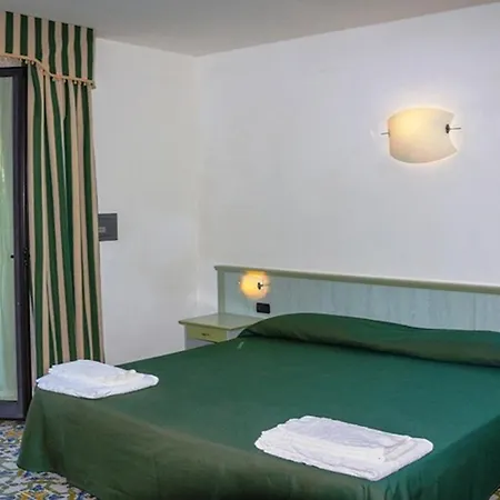ホテル Nettuno Palace 4*