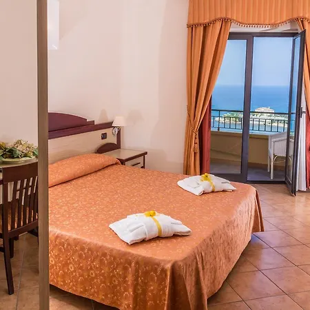 מלון Nettuno Palace 4*